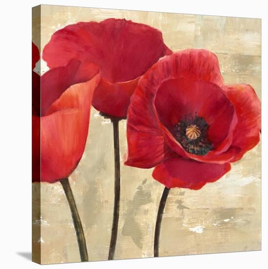 Red Poppies (detail)-Cynthia Ann-Stretched Canvas