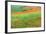 Red Poppies Field, Cote D'Opale, Region Nord-Pas De Calais, France-Gabrielle and Michel Therin-Weise-Framed Photographic Print