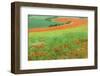 Red Poppies Field, Cote D'Opale, Region Nord-Pas De Calais, France-Gabrielle and Michel Therin-Weise-Framed Photographic Print
