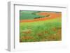 Red Poppies Field, Cote D'Opale, Region Nord-Pas De Calais, France-Gabrielle and Michel Therin-Weise-Framed Photographic Print