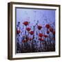 Red Poppies Growing in a Grassy Field-Paul Schutzer-Framed Photographic Print