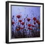 Red Poppies Growing in a Grassy Field-Paul Schutzer-Framed Photographic Print