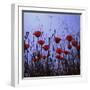 Red Poppies Growing in a Grassy Field-Paul Schutzer-Framed Photographic Print