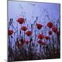 Red Poppies Growing in a Grassy Field-Paul Schutzer-Mounted Photographic Print