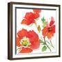 Red Poppies I-Julie Paton-Framed Art Print