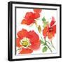 Red Poppies I-Julie Paton-Framed Art Print