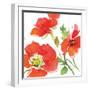 Red Poppies I-Julie Paton-Framed Art Print