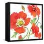 Red Poppies II-Julie Paton-Framed Stretched Canvas