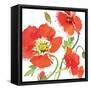 Red Poppies II-Julie Paton-Framed Stretched Canvas