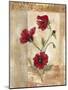 Red Poppies III-Marianne D. Cuozzo-Mounted Art Print