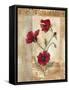 Red Poppies III-Marianne D. Cuozzo-Framed Stretched Canvas