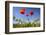 Red Poppies in A Texas Vineyard-Dean Fikar-Framed Photographic Print