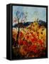 Red Poppies in Provence 45-Pol Ledent-Framed Stretched Canvas