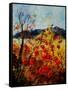 Red Poppies in Provence 45-Pol Ledent-Framed Stretched Canvas