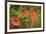 Red Poppies in Sunny Summer Meadow-Voy-Framed Photographic Print