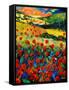 Red poppies in Tuscany (Italy)-Pol Ledent-Framed Stretched Canvas