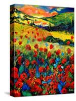 Red poppies in Tuscany (Italy)-Pol Ledent-Stretched Canvas