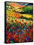 Red poppies in Tuscany (Italy)-Pol Ledent-Framed Stretched Canvas