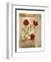 Red Poppies IV-Marianne D. Cuozzo-Framed Art Print