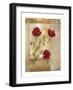 Red Poppies IV-Marianne D. Cuozzo-Framed Art Print