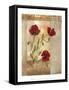 Red Poppies IV-Marianne D. Cuozzo-Framed Stretched Canvas