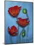 Red Poppies on Blue-Cherie Roe Dirksen-Mounted Giclee Print