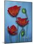 Red Poppies on Blue-Cherie Roe Dirksen-Mounted Giclee Print