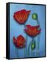 Red Poppies on Blue-Cherie Roe Dirksen-Framed Stretched Canvas