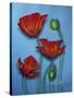 Red Poppies on Blue-Cherie Roe Dirksen-Stretched Canvas