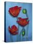 Red Poppies on Blue-Cherie Roe Dirksen-Stretched Canvas