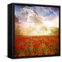 Red Poppies on Green Field, Sky and Clouds-Volokhatiuk-Framed Stretched Canvas