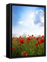 Red Poppies on Green Field, Sky and  Clouds-Volokhatiuk-Framed Stretched Canvas