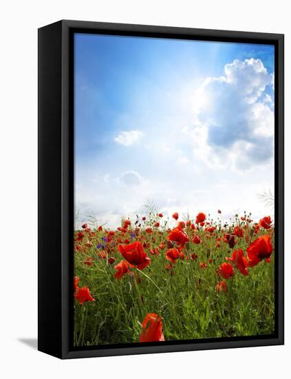 Red Poppies on Green Field, Sky and  Clouds-Volokhatiuk-Framed Stretched Canvas