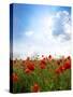 Red Poppies on Green Field, Sky and  Clouds-Volokhatiuk-Stretched Canvas