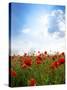 Red Poppies on Green Field, Sky and  Clouds-Volokhatiuk-Stretched Canvas