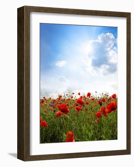 Red Poppies on Green Field, Sky and  Clouds-Volokhatiuk-Framed Photographic Print