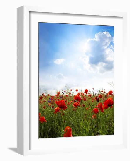 Red Poppies on Green Field, Sky and  Clouds-Volokhatiuk-Framed Photographic Print