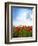 Red Poppies on Green Field, Sky and  Clouds-Volokhatiuk-Framed Photographic Print