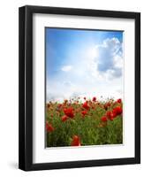 Red Poppies on Green Field, Sky and  Clouds-Volokhatiuk-Framed Photographic Print