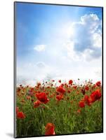 Red Poppies on Green Field, Sky and  Clouds-Volokhatiuk-Mounted Photographic Print