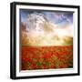 Red Poppies on Green Field, Sky and Clouds-Volokhatiuk-Framed Photographic Print