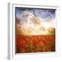 Red Poppies on Green Field, Sky and Clouds-Volokhatiuk-Framed Photographic Print