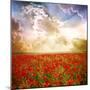 Red Poppies on Green Field, Sky and Clouds-Volokhatiuk-Mounted Photographic Print