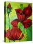 Red Poppies on Green-Cherie Roe Dirksen-Stretched Canvas