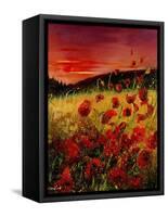 Red Poppies Sunset-Pol Ledent-Framed Stretched Canvas