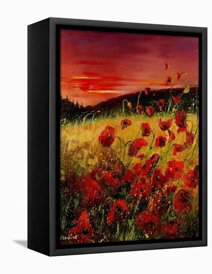 Red Poppies Sunset-Pol Ledent-Framed Stretched Canvas