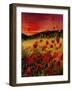 Red Poppies Sunset-Pol Ledent-Framed Art Print