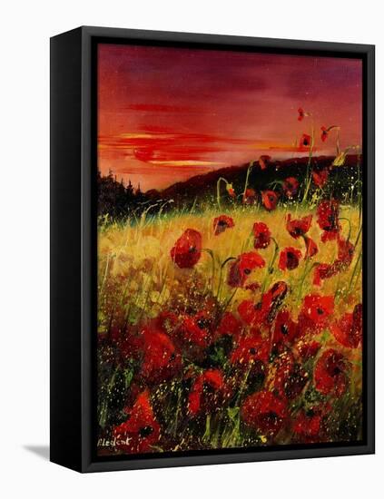 Red Poppies Sunset-Pol Ledent-Framed Stretched Canvas