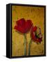 Red Poppies with Yellow Butterfly-Cherie Roe Dirksen-Framed Stretched Canvas