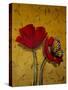 Red Poppies with Yellow Butterfly-Cherie Roe Dirksen-Stretched Canvas